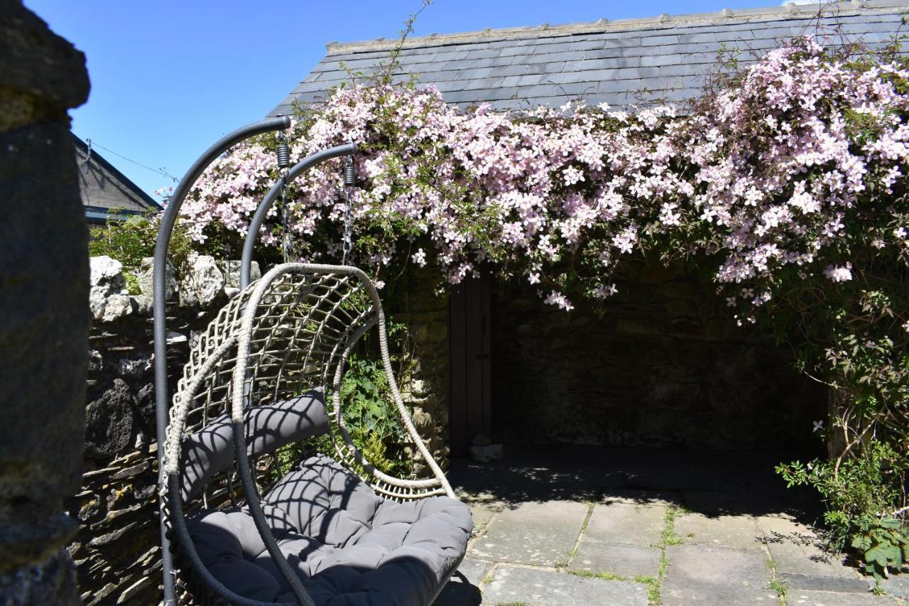 Crug Glas Country House Saint David’s Eksteriør bilde