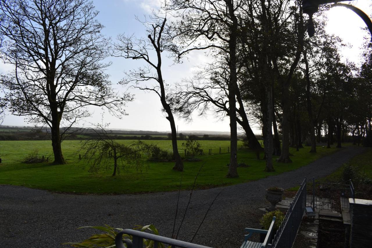 Crug Glas Country House Saint David’s Eksteriør bilde