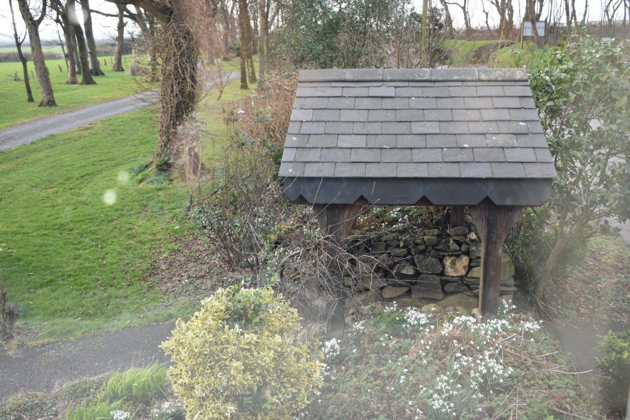 Crug Glas Country House Saint David’s Eksteriør bilde