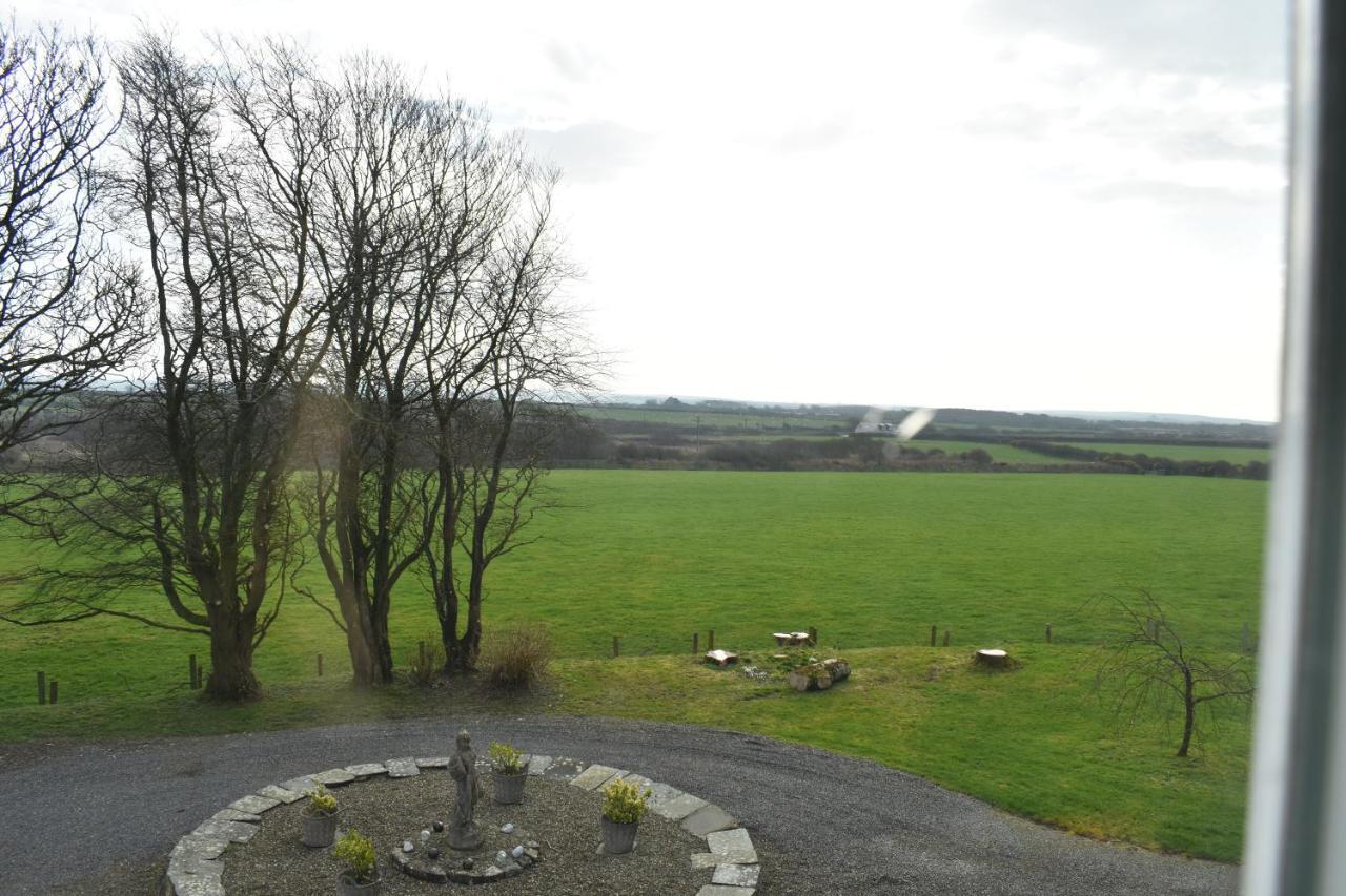 Crug Glas Country House Saint David’s Eksteriør bilde