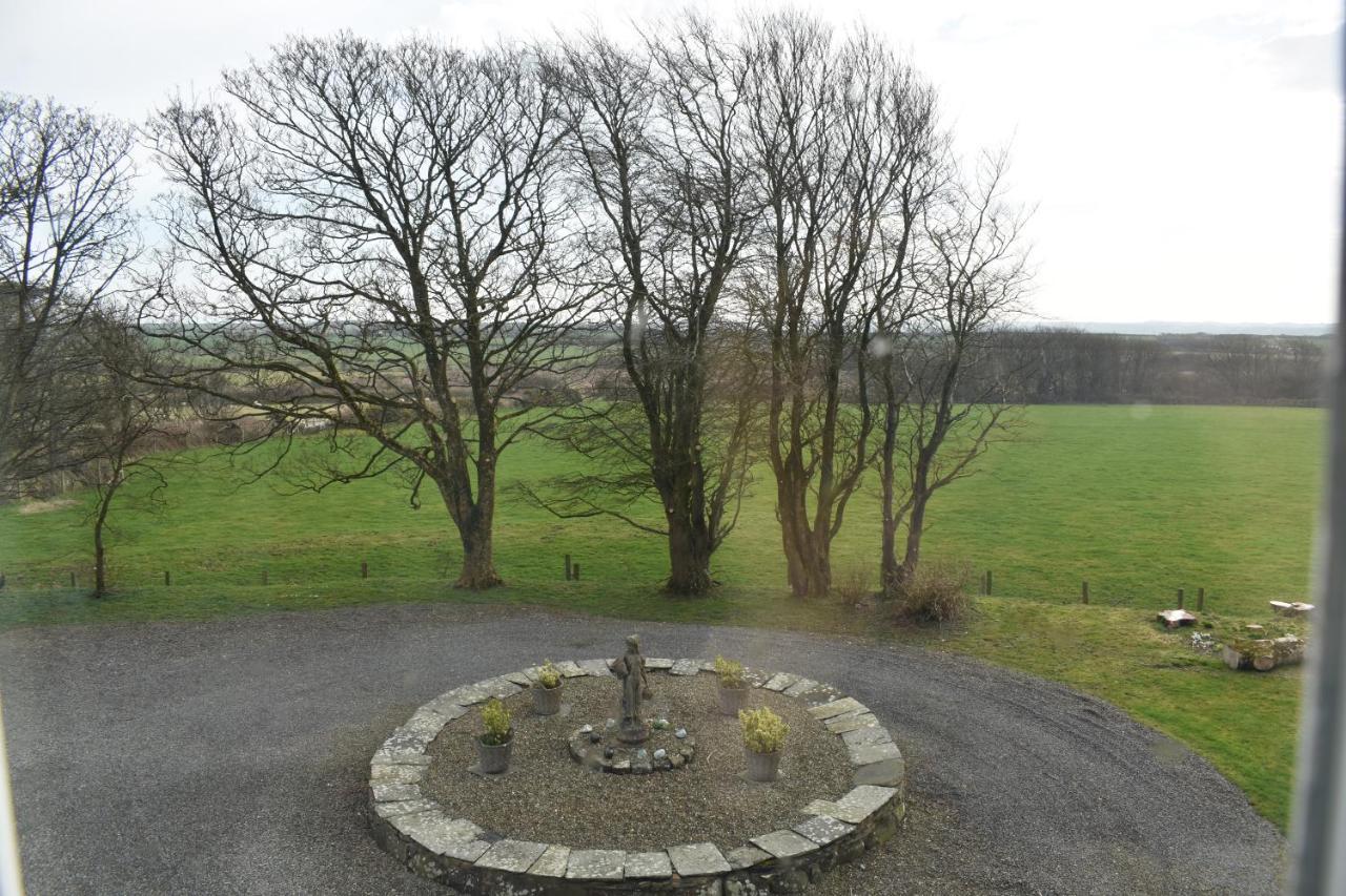 Crug Glas Country House Saint David’s Eksteriør bilde