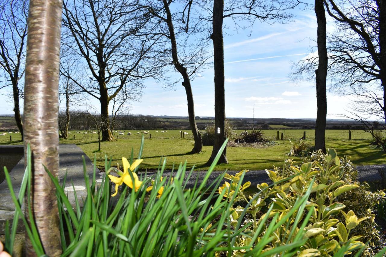 Crug Glas Country House Saint David’s Eksteriør bilde