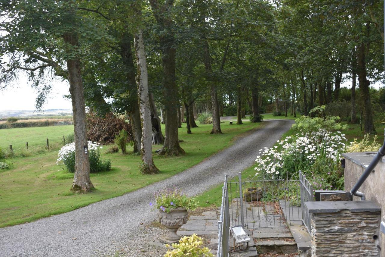 Crug Glas Country House Saint David’s Eksteriør bilde